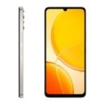 Smartphone VIVO Y04 8Go 64Go - Or Titane