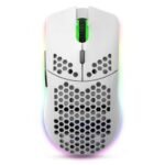Souris Sans Fil T66 Rechargeable - Blanc